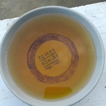 正宗的寿源山茶籽油