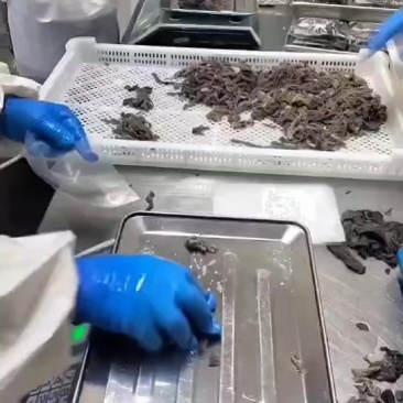 电商专用爆肚丝，现货工厂发货
