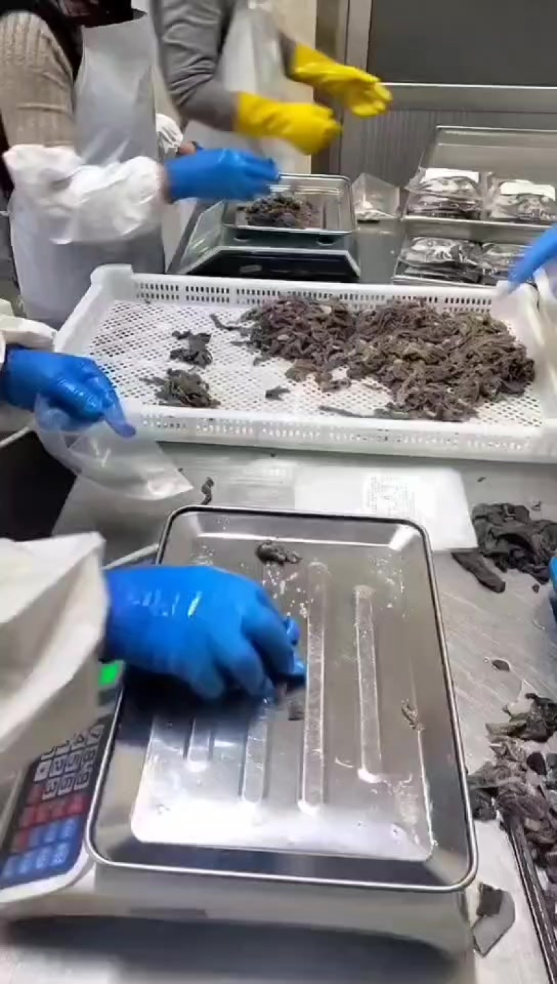 电商专用爆肚丝，现货工厂发货