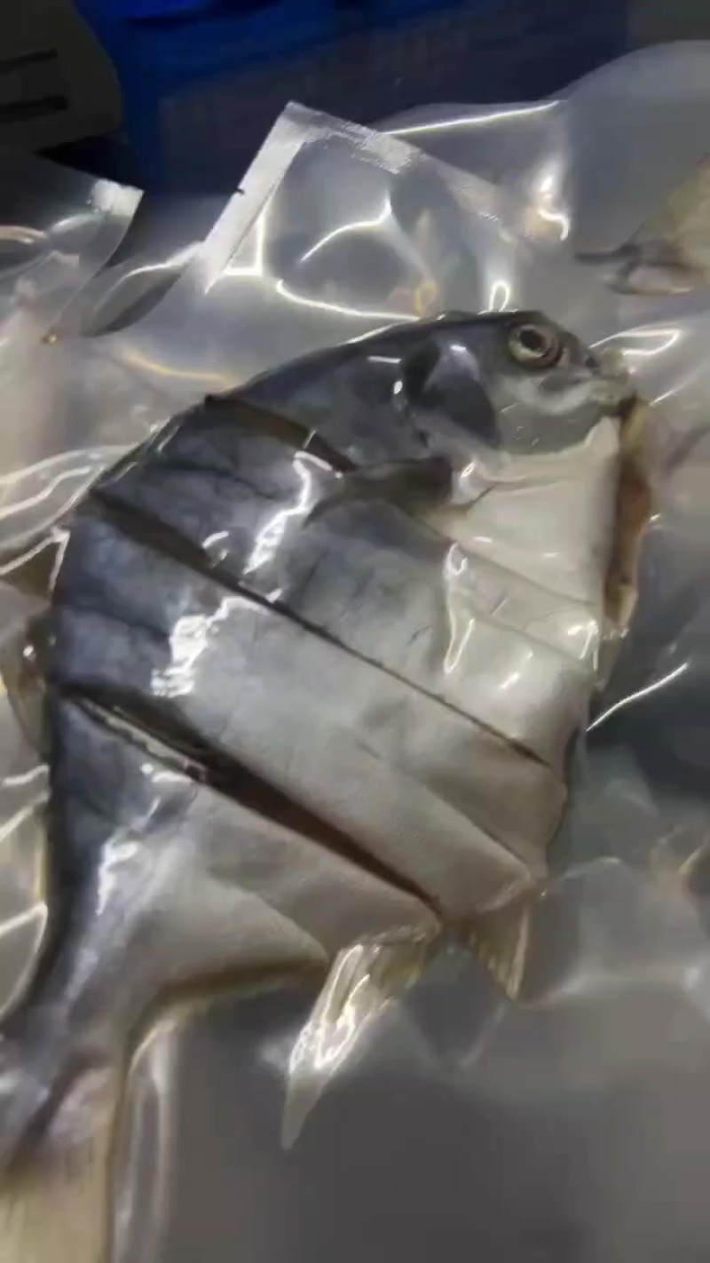 金鲳鱼干