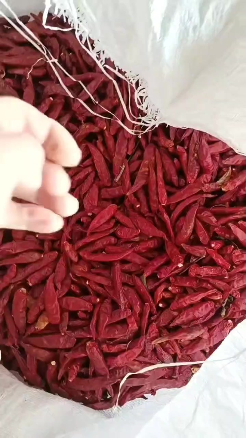 辣椒