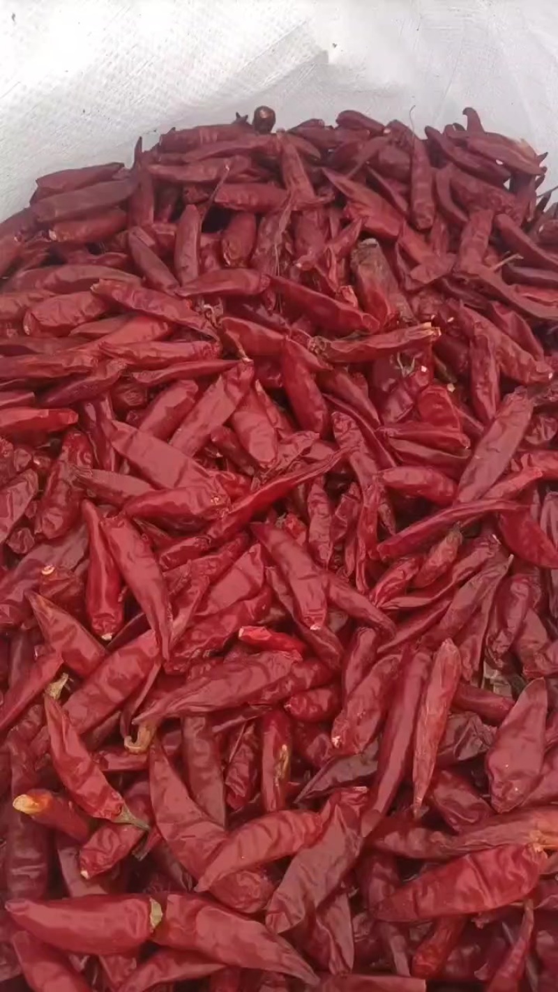 辣椒
