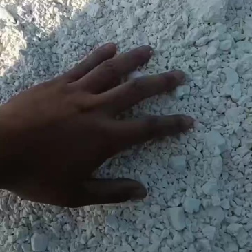 纯红薯粉芡