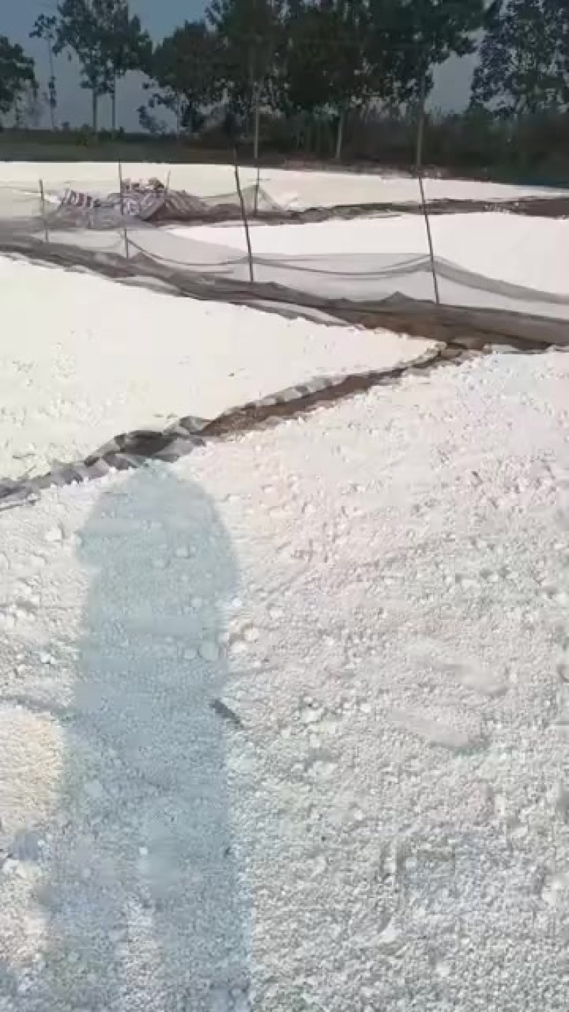 纯红薯粉芡