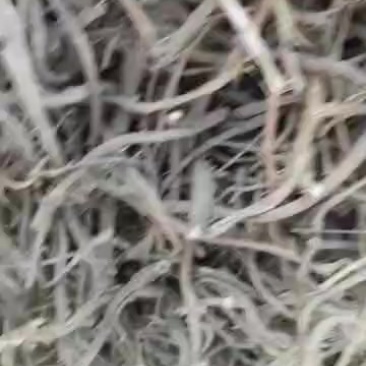 纯正黄芪滋补养生健康好礼黄芪菜头次货干货便宜货量大可以下单