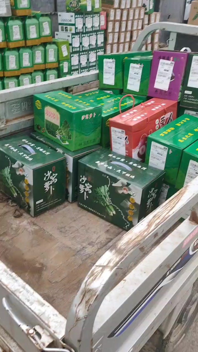 天津沙窝萝卜批发零售团购一件代发