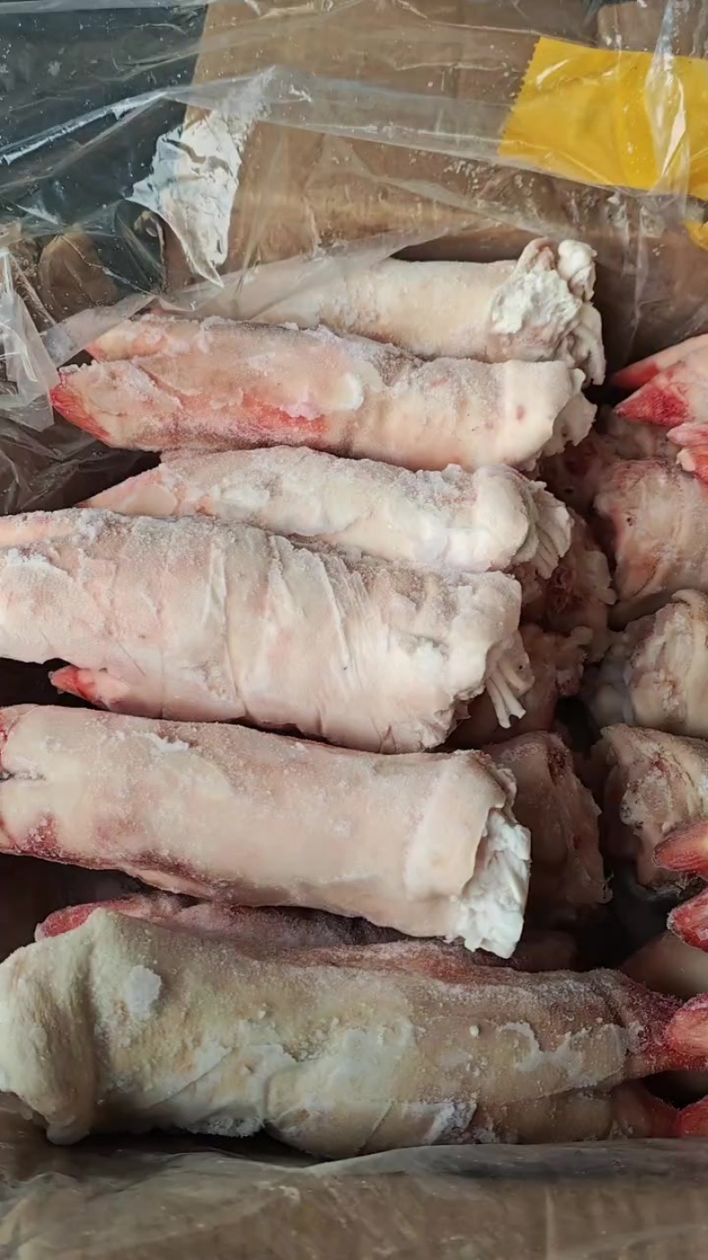 b蹄现货4吨左右实拍
