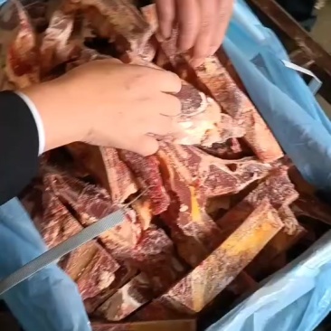 牛小排厂家直销量大从优