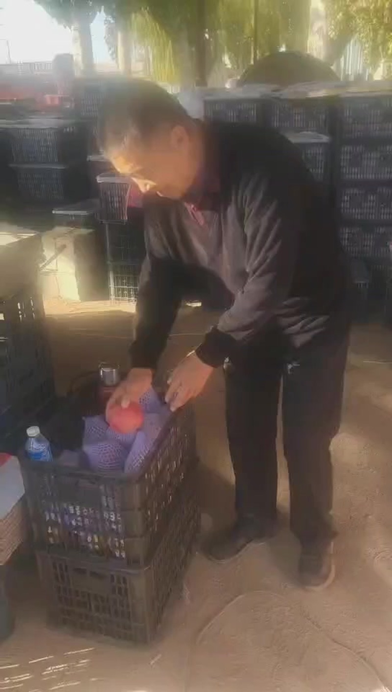 新疆阿克苏冰糖心苹果