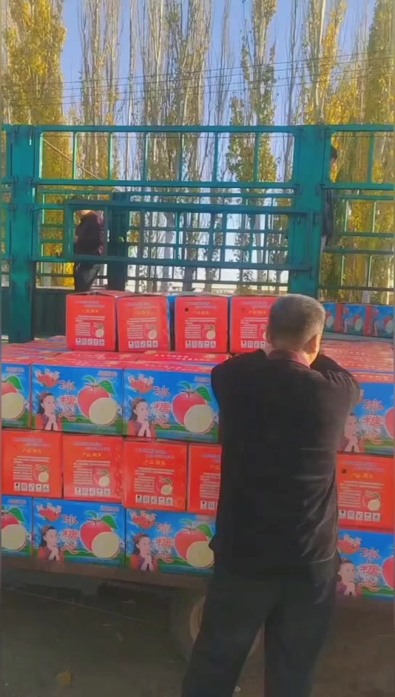 新疆阿克苏冰糖心苹果