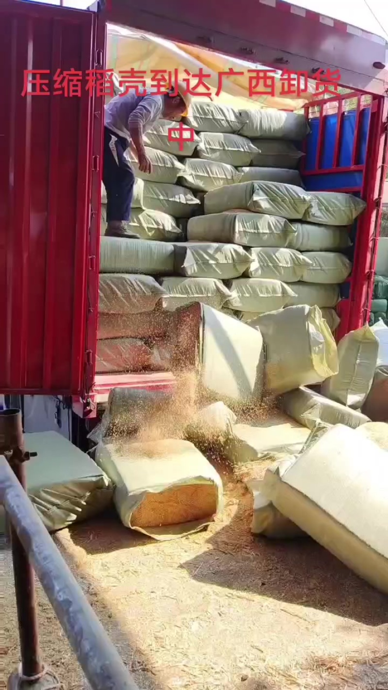 压缩稻壳发广西卸货中