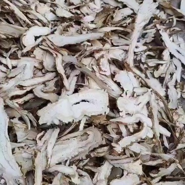 独活头片
