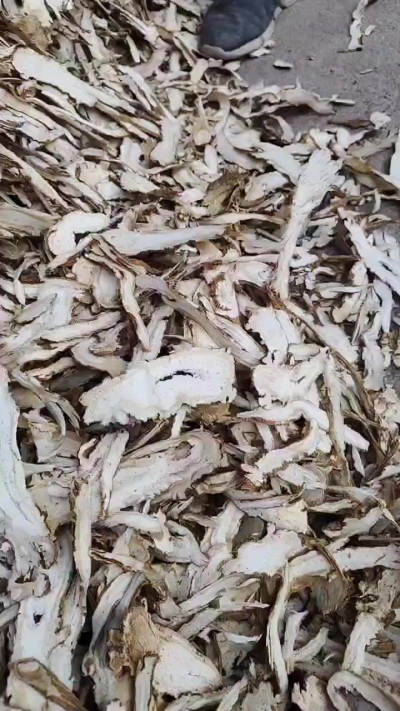独活头片