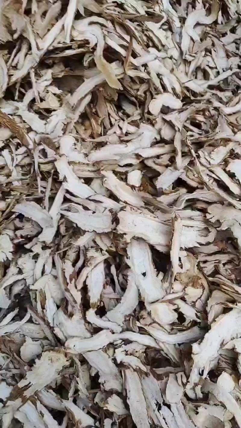 独活头片