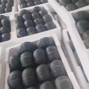 内蒙爆粉贝贝，支持各种规格分拣，价格不高