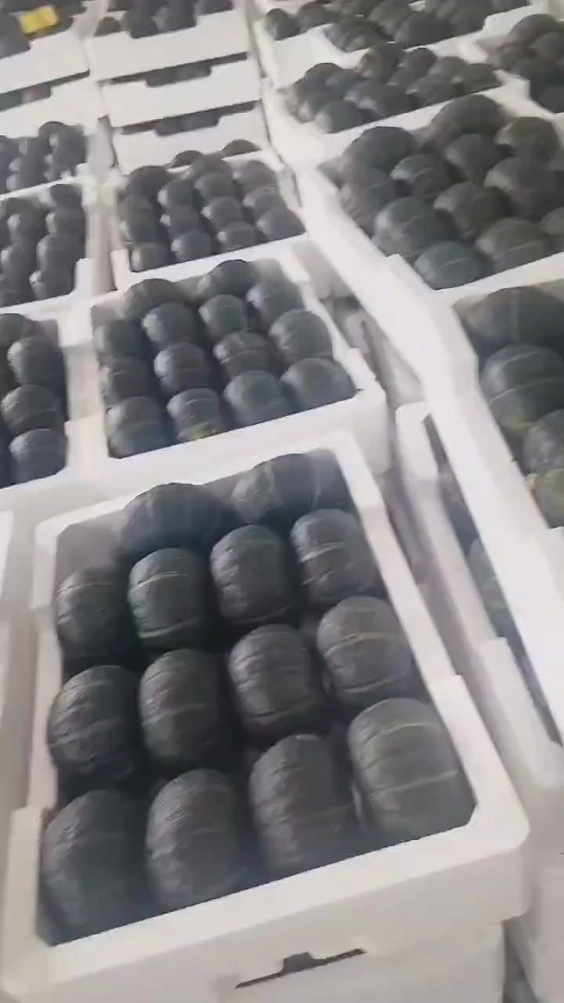 内蒙爆粉贝贝，支持各种规格分拣，价格不高