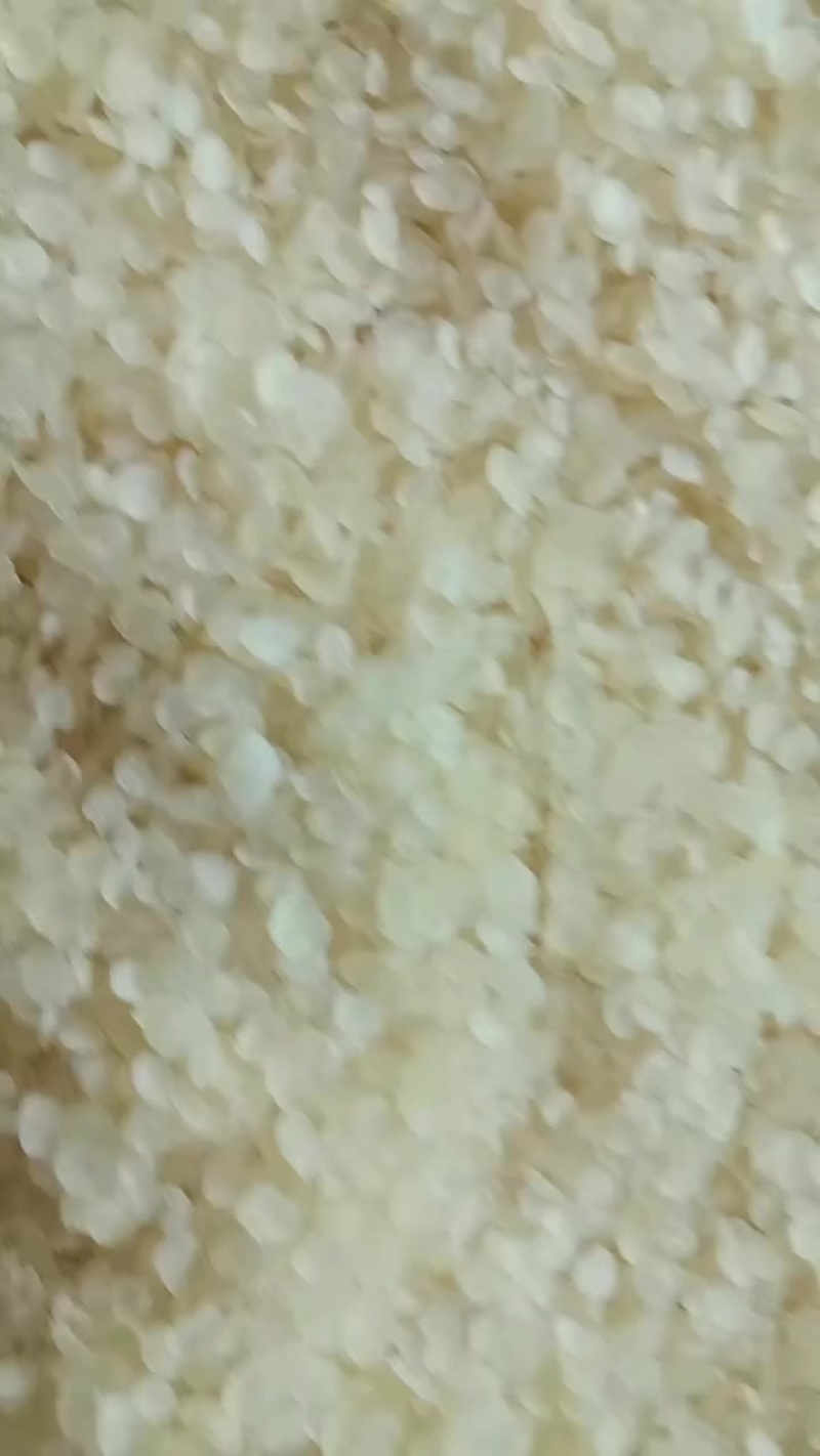 皂角米