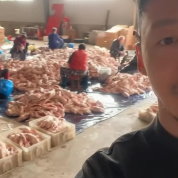 咸鸭咸鹅三鸭一鹅组合套装