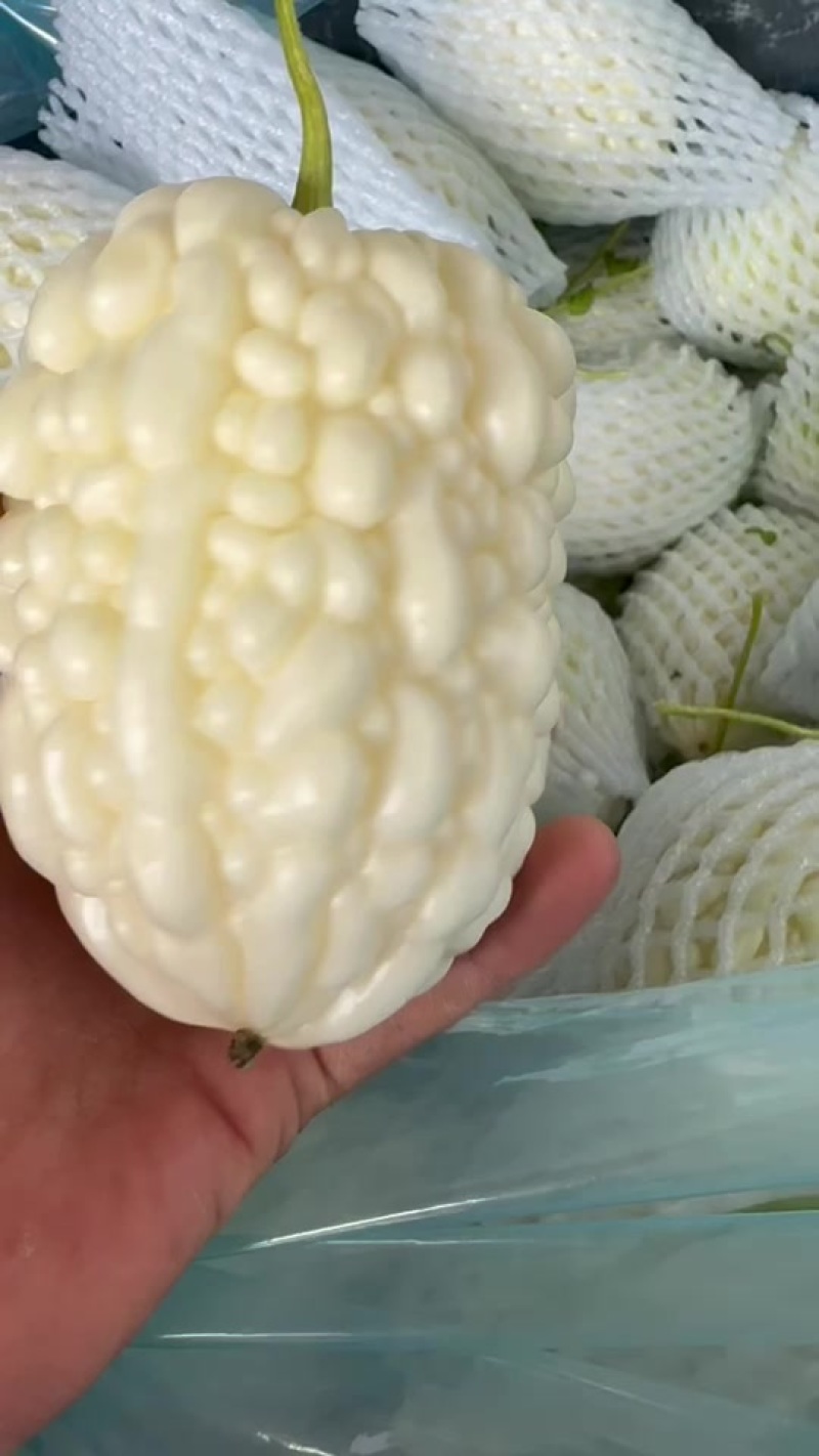 山东苹果丝瓜
