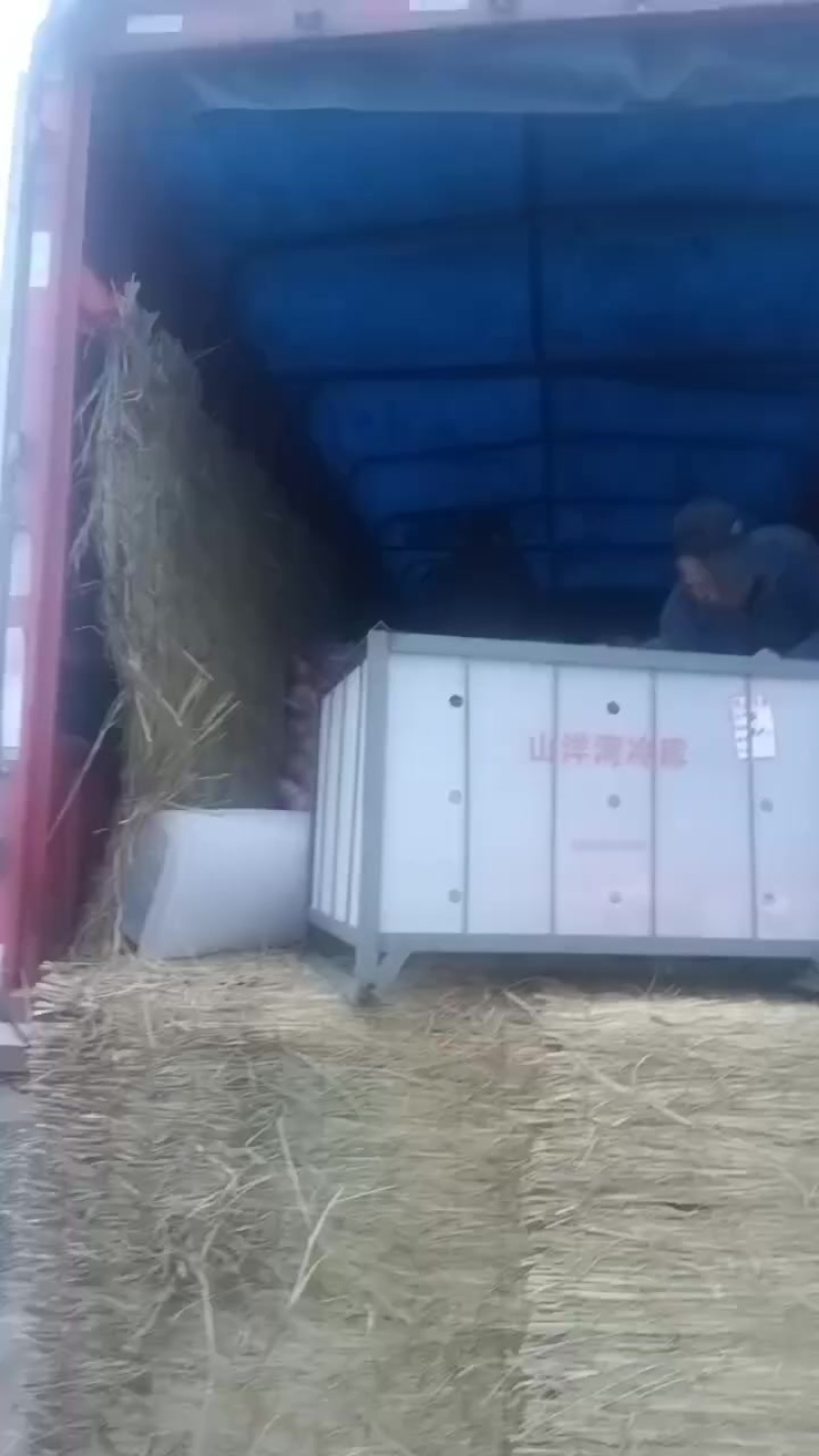 冷库高次苹果