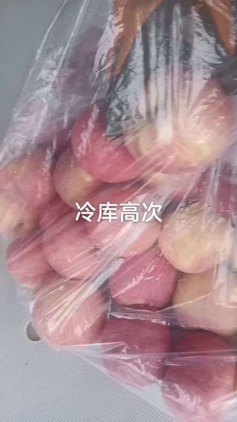 冷库高次苹果
