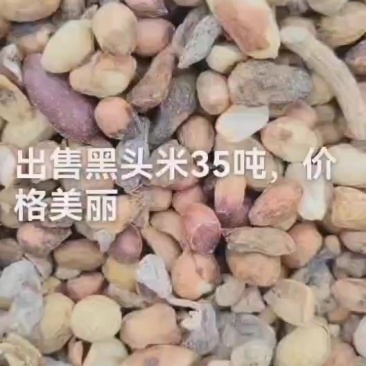 出售花生米黑头