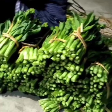 迟菜