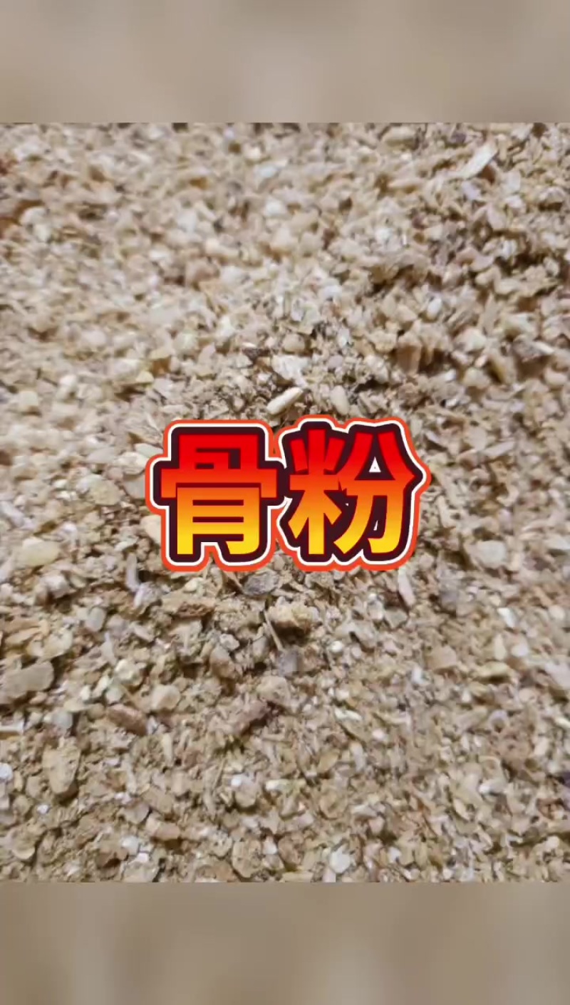 饲料原料