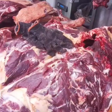 牦牛肉