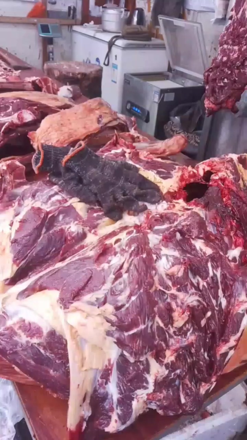 牦牛肉