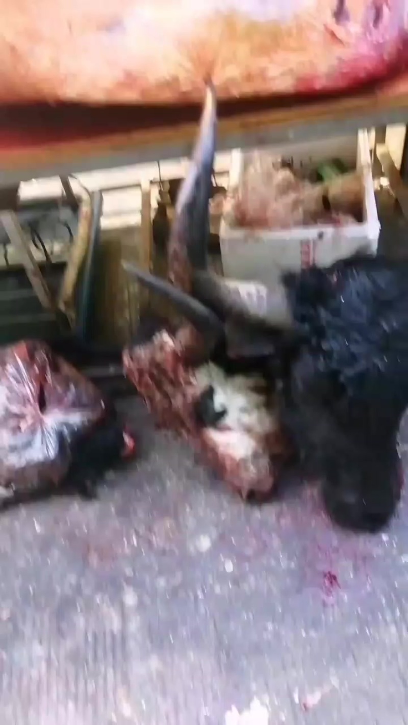 牦牛肉