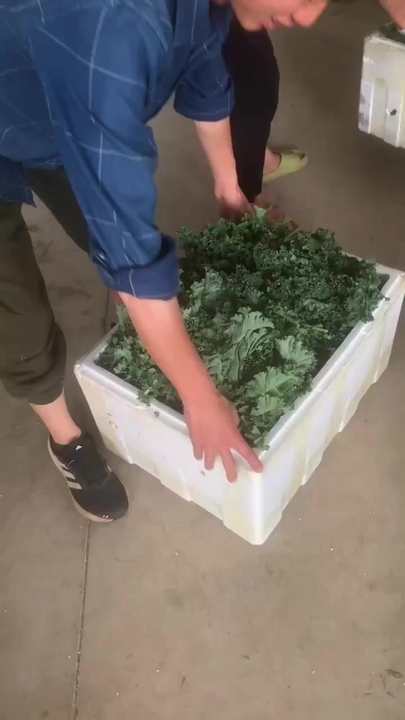 基地直供