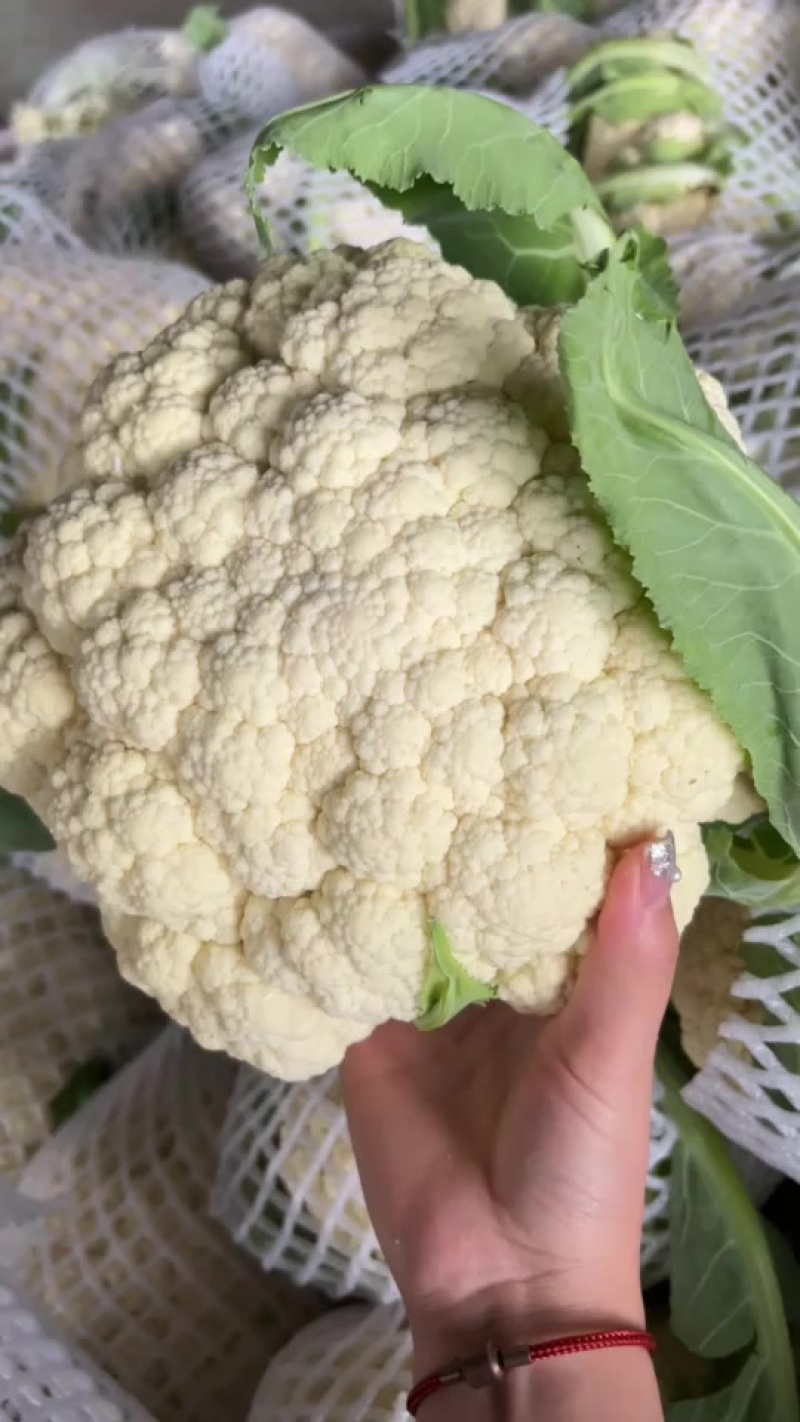 精品小米粒花菜2.5斤