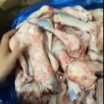 大羊拐筋