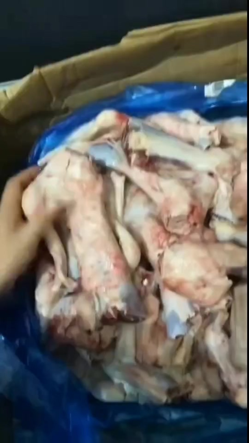 大羊拐筋