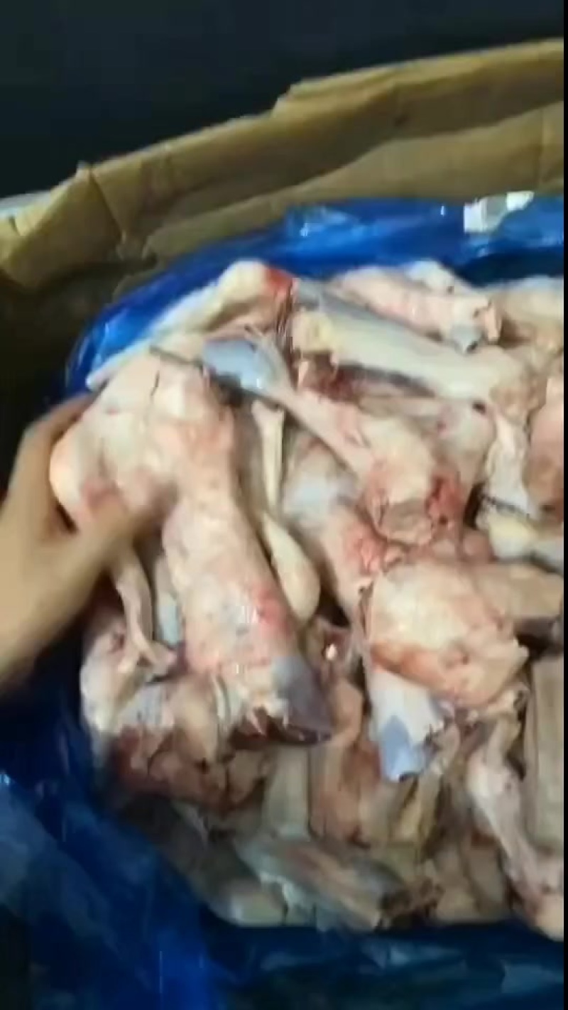 大羊拐筋