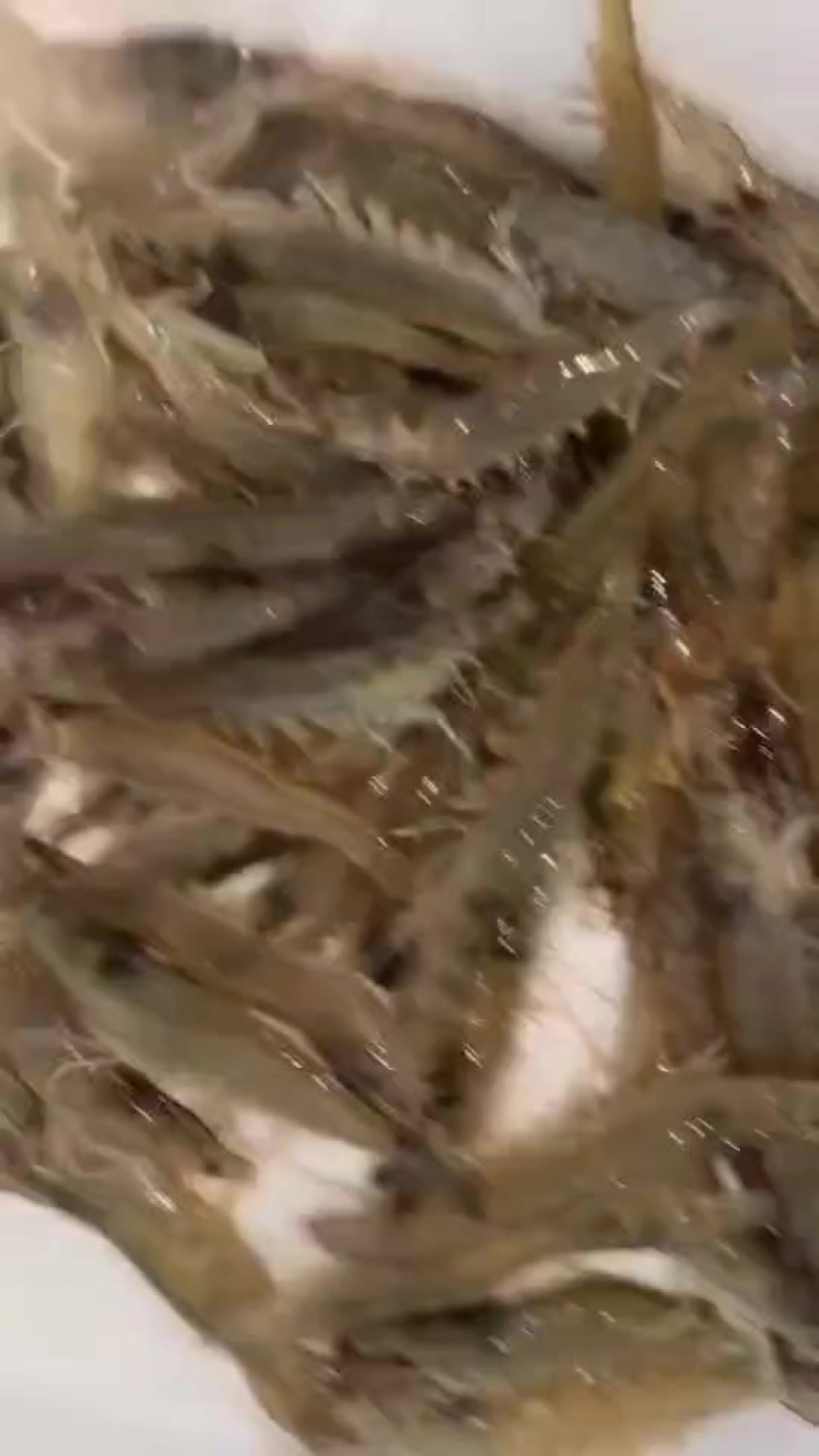 活虾产地直达，北京天津1000斤起送