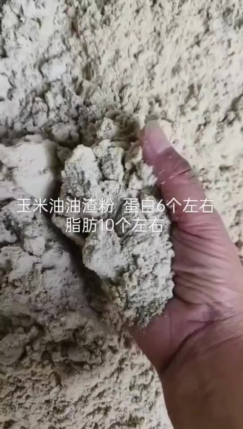 玉米副产品饲料