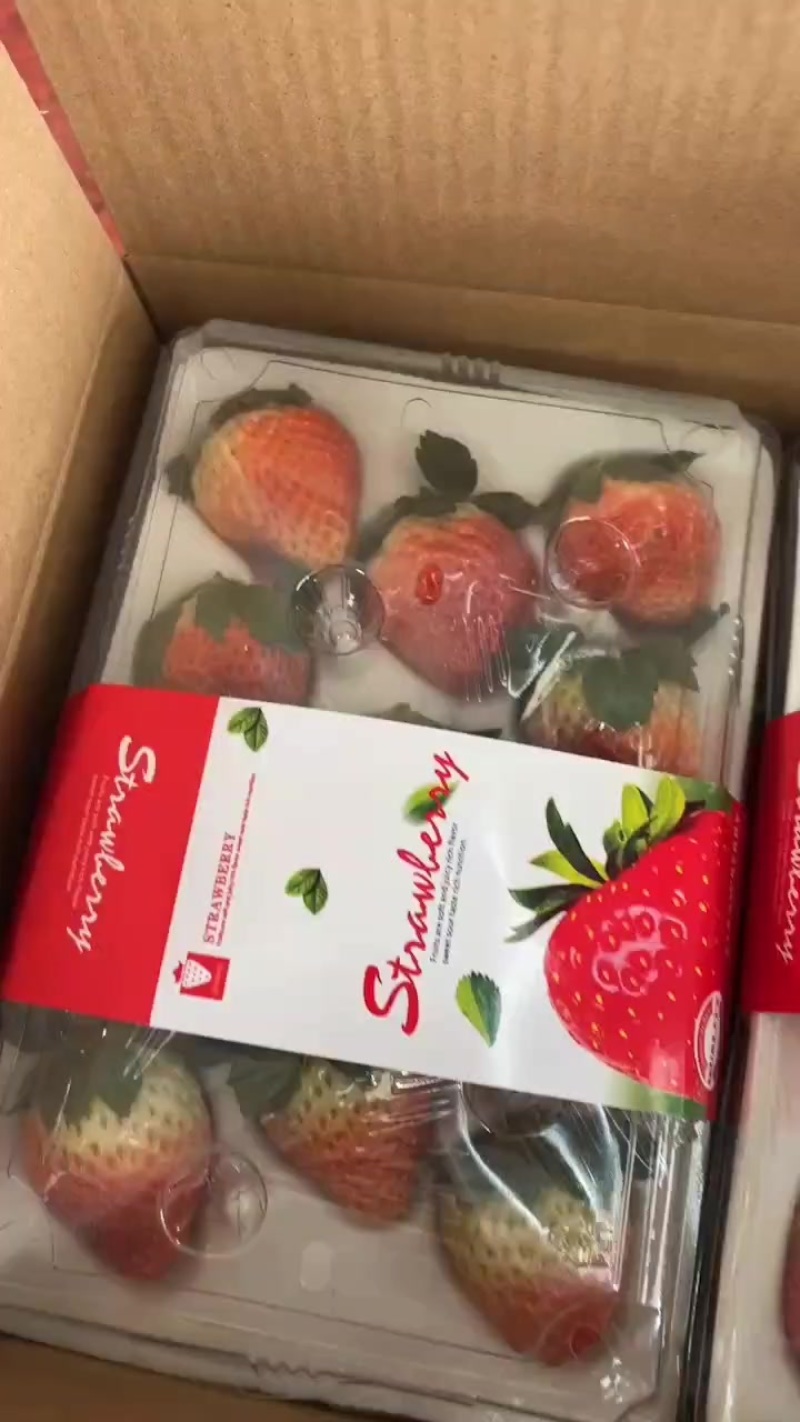 德昌露天草莓
