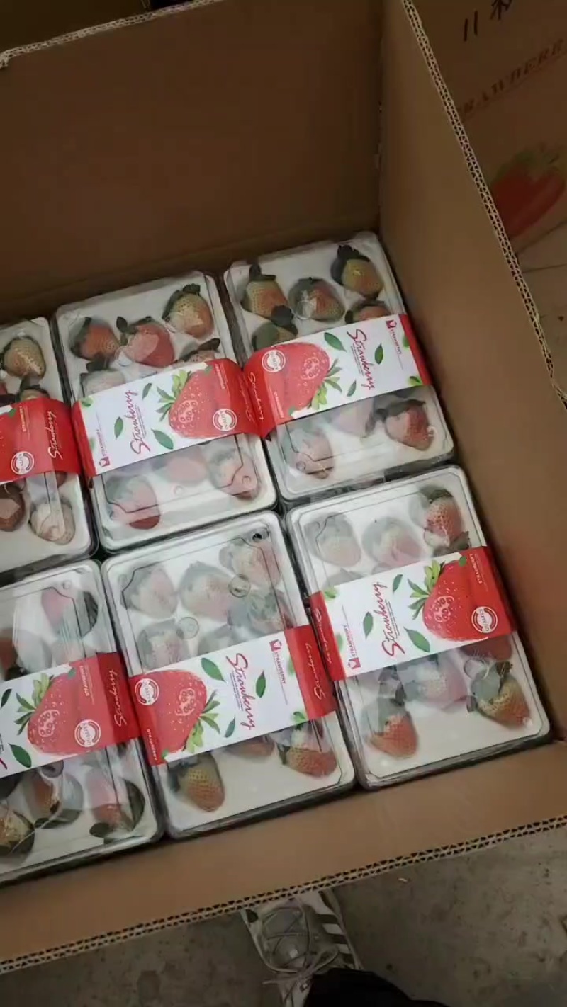 德昌露天草莓