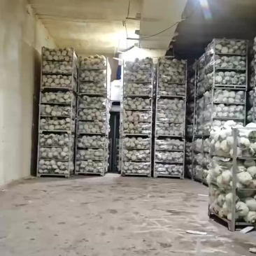 大量现货价格美丽