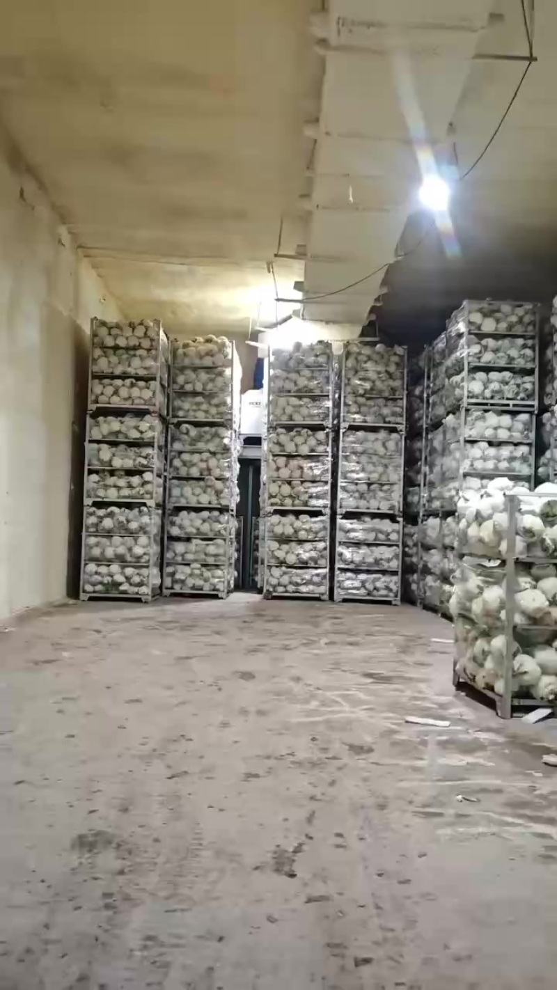 大量现货价格美丽