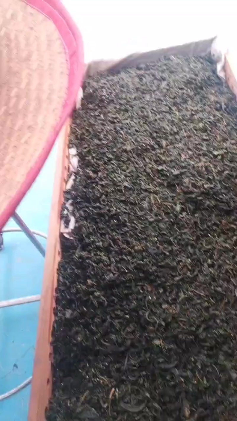 枸杞叶茶，干叶干粉