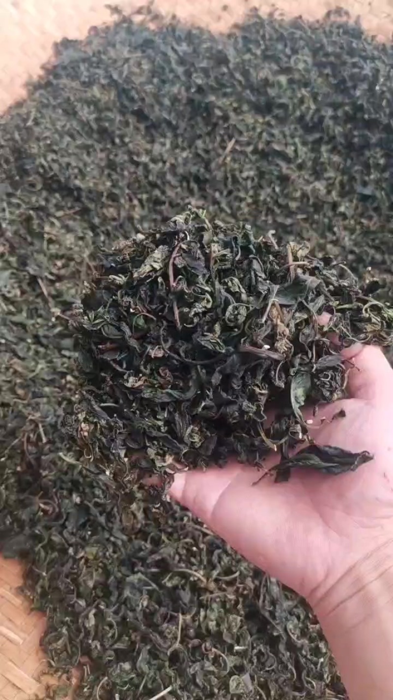 枸杞叶茶，干叶干粉