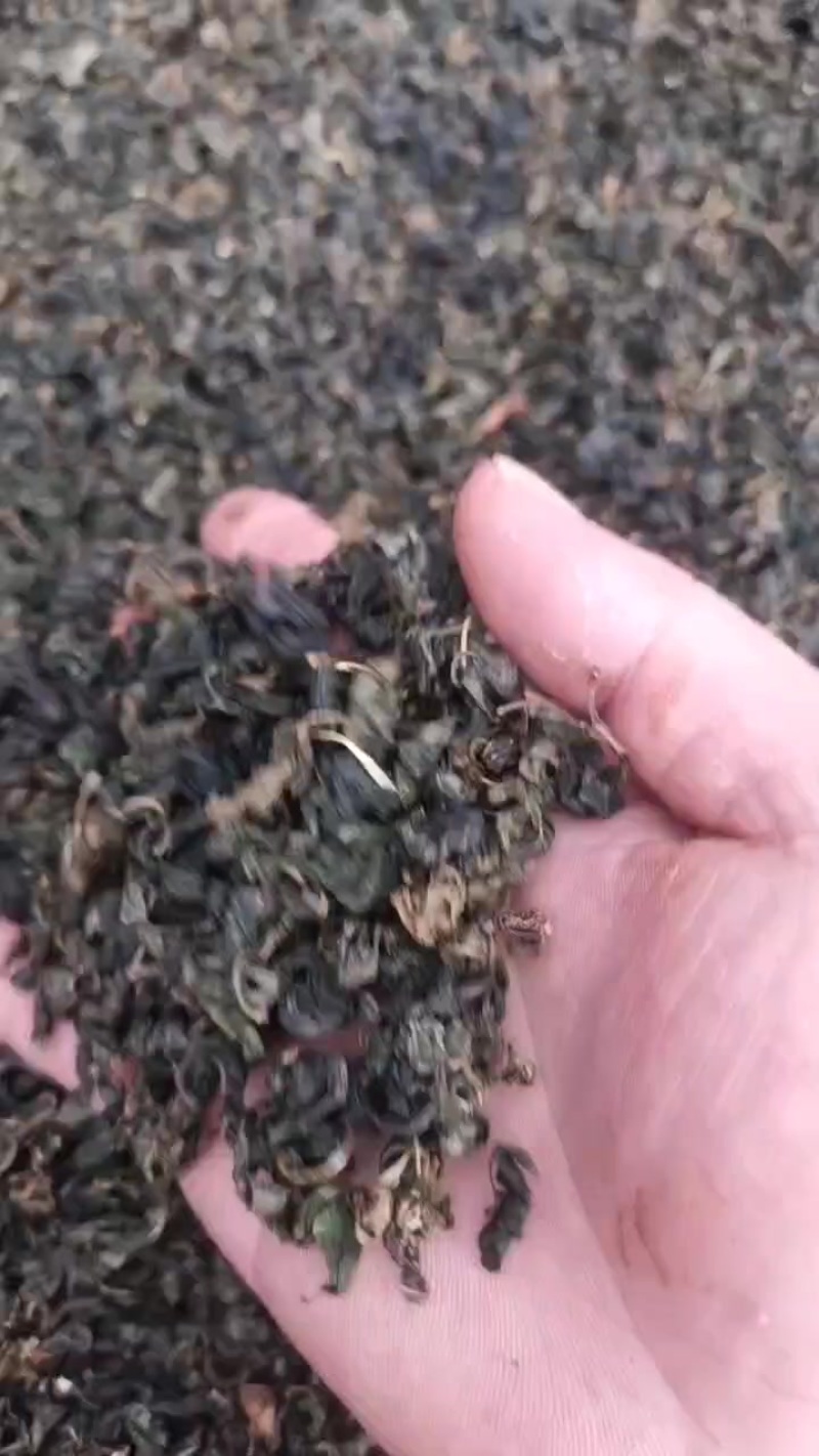 枸杞叶茶，干叶干粉