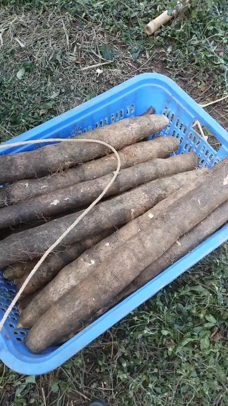 产地直发价钱美丽想要的老板可以联系我