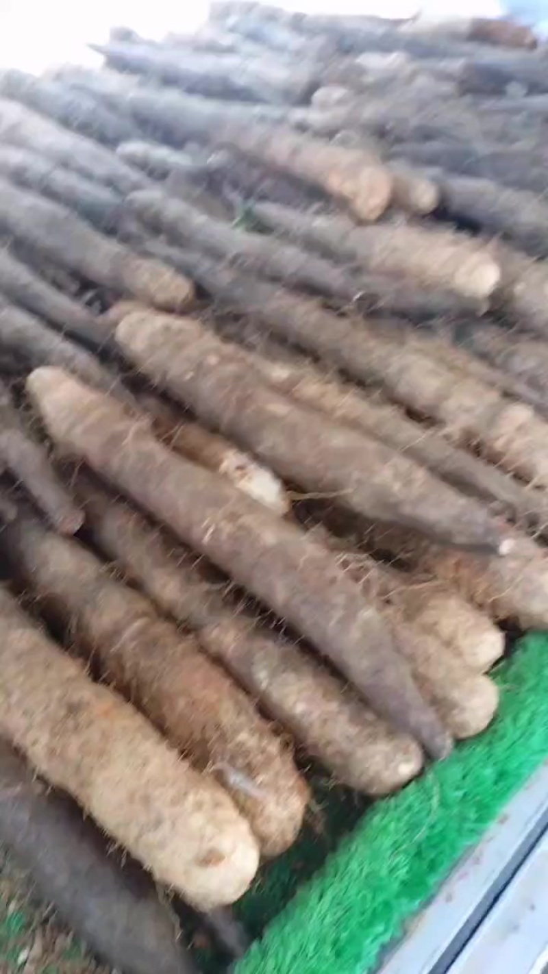 本人种有百亩黑鬼山药，产地直发，价钱优惠想要的老板可以联
