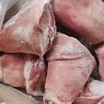 双汇前肘