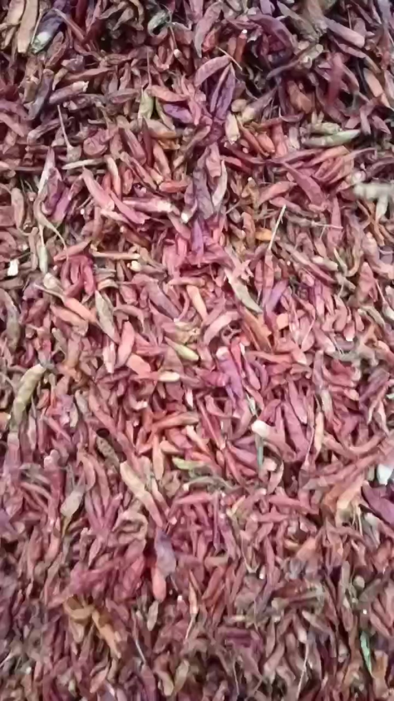 精品，打粉，中通货