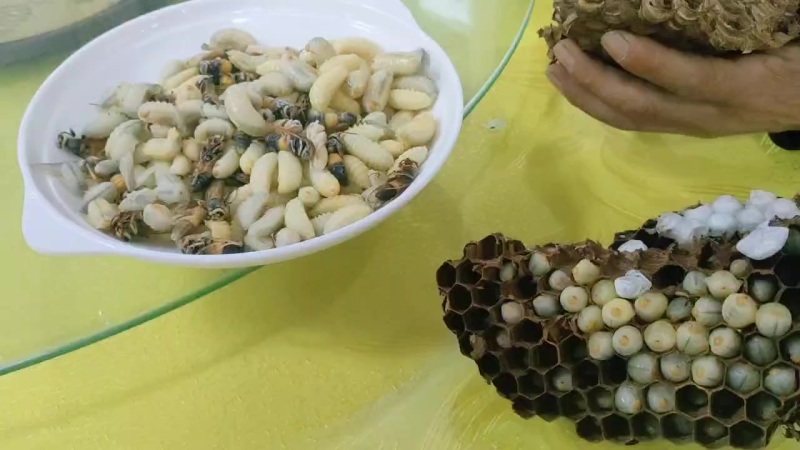 蜂产品蜂蛹